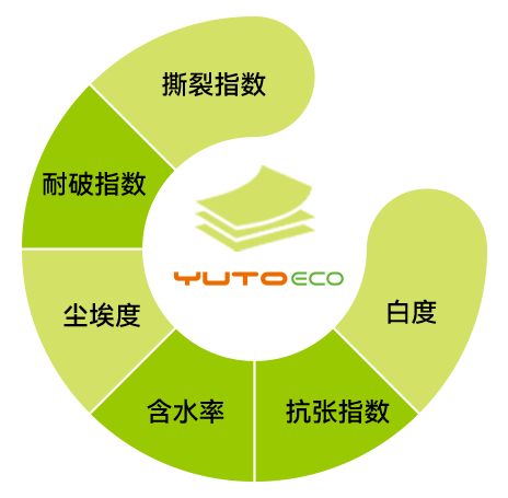 高品质、可靠的甘蔗浆板